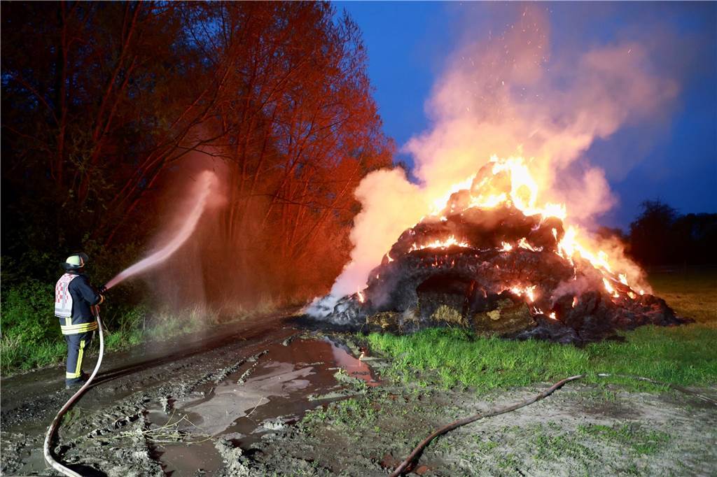 Zunächst hatten sich die Strohballen auf einem Haufen befunden. Die Feuerwehr bemühte sich besonders um den Schutz des Waldes links