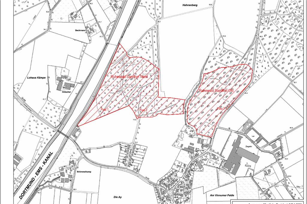 Info-Abend zu Ruhewald: Bürger fragen zu Grabschmuck und Natur-Eingriffen Zunächst soll die westliche rot straffierte Fläche belegt werden, so der Planungsstand am 28. August 2023.