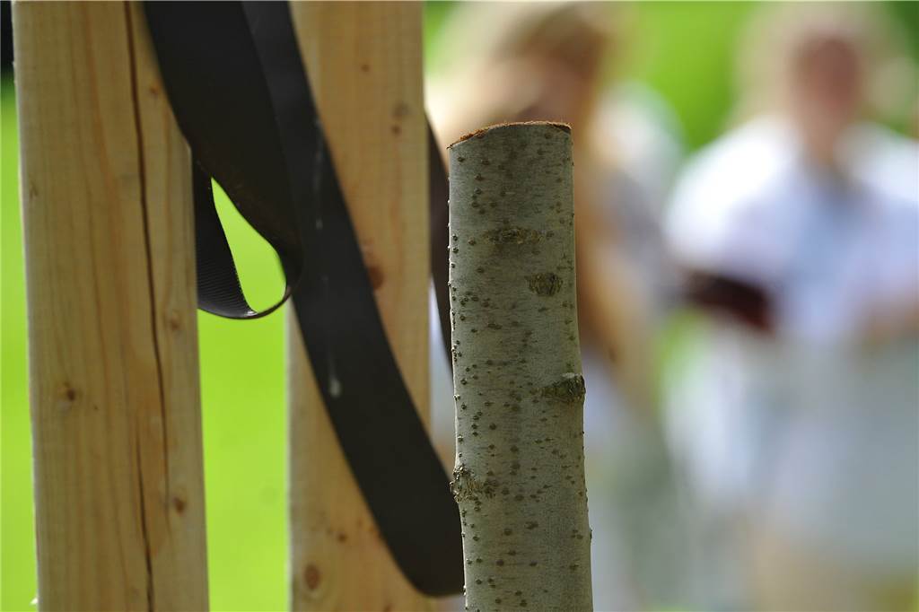 Nach Vandalismus: Rund 100 Castrop-Rauxeler bei Mahnwache im Goldschmieding-Park Zwei Bäume der Gedenkstätte waren am vergangenen Wochenende zerstört worden.