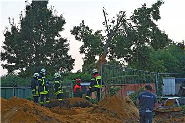 Zwei Bäume wurden bei der Bombensprengung in Altendorf-Ulfkotte in Mitleidenschaft gezogen. Einer wurde bereits am Donnerstag gefällt.