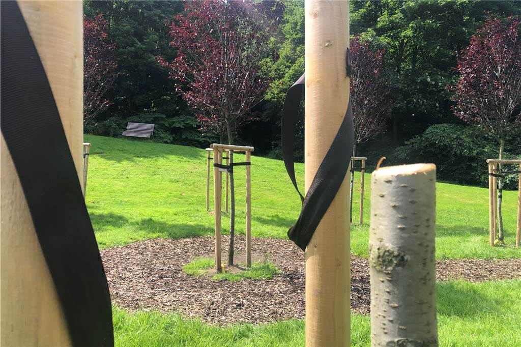 Vandalismus an Gedenkstätte im Goldschmieding-Park: Bäume geköpft Zwei der Bäume aus dem Baumkreis wurden abgesägt.