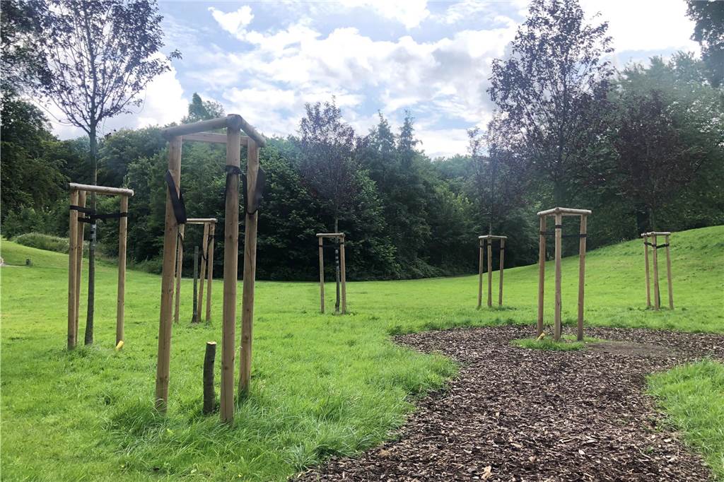 Zwei der Bäume aus dem Baumkreis wurden im Sommer 2021 abgesägt. Hier endet die Menschenkette im Goldschmiedingpark.