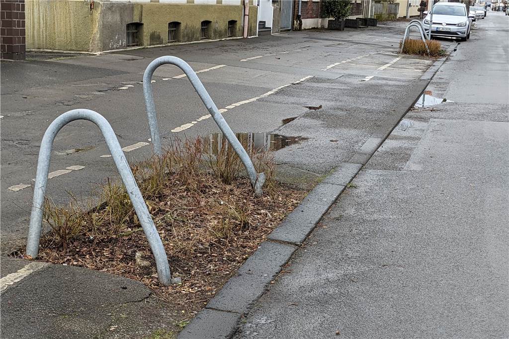 Guerilla-Baumpflanzaktion „gegen Klimakrise und Schlamperei der Stadt“ Zwei der Baumlücken an der Alleestraße.