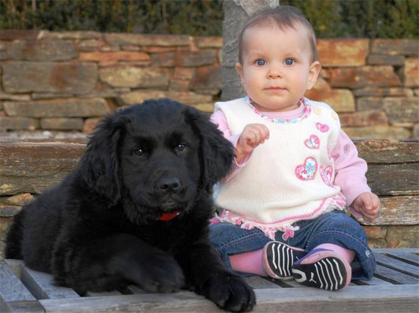 So klappt es zwischen Hund und Baby Zwei, die sich verstehen: Damit es zwischen Hund und Kind so reibungslos verläuft, sollte sich das Tier in eine eigene Ecke zurückziehen dürfen. (Bild: Diagentur/dpa/tmn)