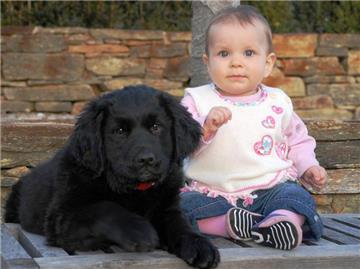Zwei, die sich verstehen: Damit es zwischen Hund und Kind so reibungslos verläuft, sollte sich das Tier in eine eigene Ecke zurückziehen dürfen. (Bild: Diagentur/dpa/tmn)