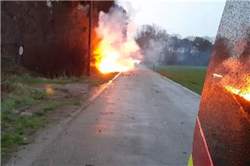 Zwei gerissene Stromleitungen haben an der Westerlandwehr in Raesfeld-Erle das Unterholz und einen Baum in Brand gesetzt.