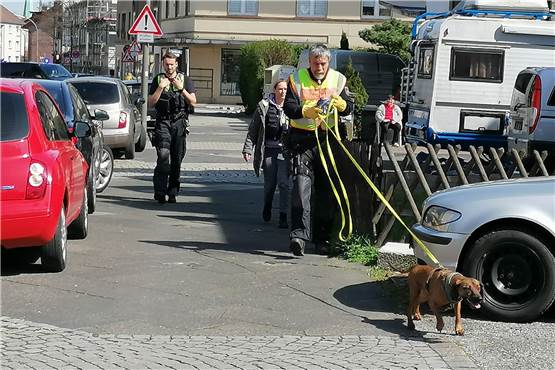 Brutaler Mord in Dortmund: Kripo sucht mit Spürhund nach Indizien