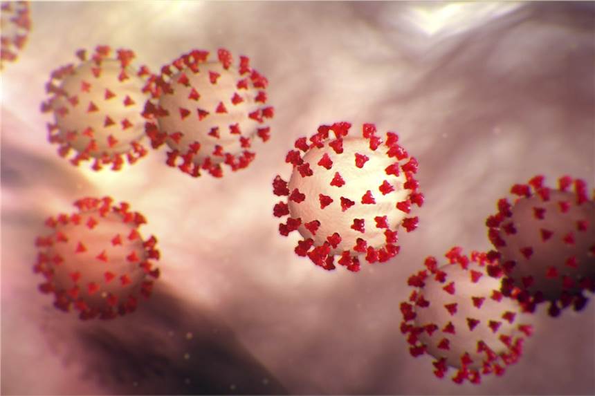 Zwei weitere Dortmunder im Zusammenhang mit Coronavirus verstorben Am Klinikum Dortmund sind einige neue Coronavirus-Fälle aufgefallen.