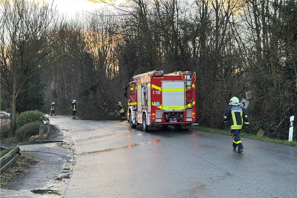 Sturm entwurzelt Bäume: Video zeigt Feuerwehreinsatz am Stadtrand Zweiter Einsatz in Dingen: Wieder ein Baum auf der Mengeder Straße. Diesmal beseitigt vom Löschzug Rauxel-Dorf.