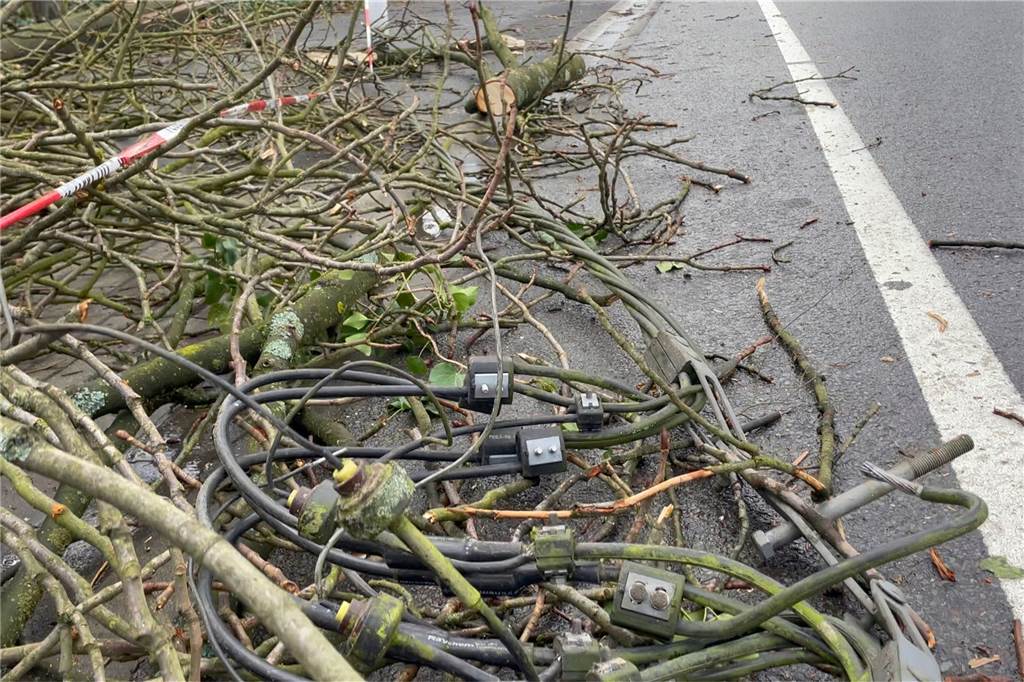 Dramatische Szenen um Mitternacht: Autofahrer unter umgestürztem Baum gefangen Zwischen den Ästen liegen noch die Reste der zerstörten Stromleitung.