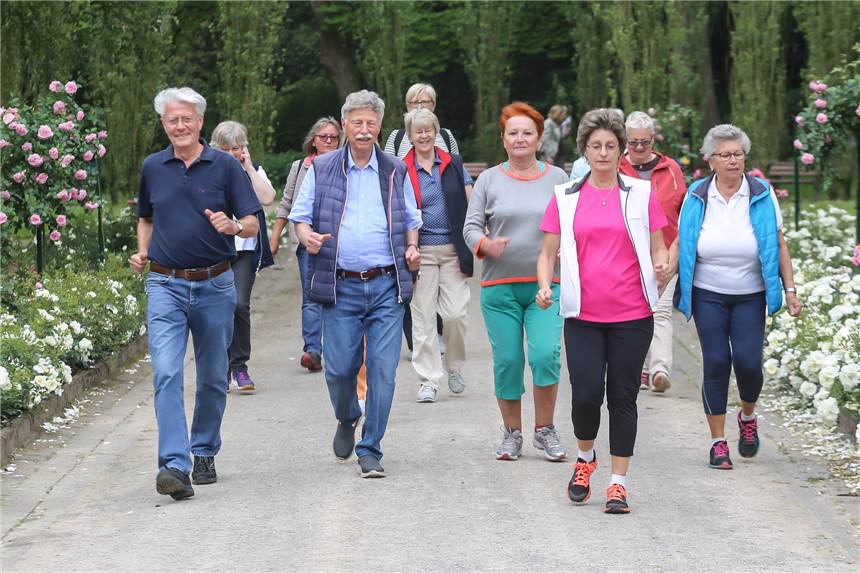 Unterwegs mit Senioren, die sich mit Qigong und Walking weiter fit halten Zwischen den Blütenreihen des Rombergpark macht (Senioren-) Sport besonders Spaß.