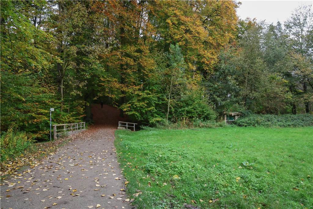Neben einer kleinen Brücke im Wald, sieht man eine Lichtung. Neben der Grünfläche führt ein breiter Waldweg entlang.
