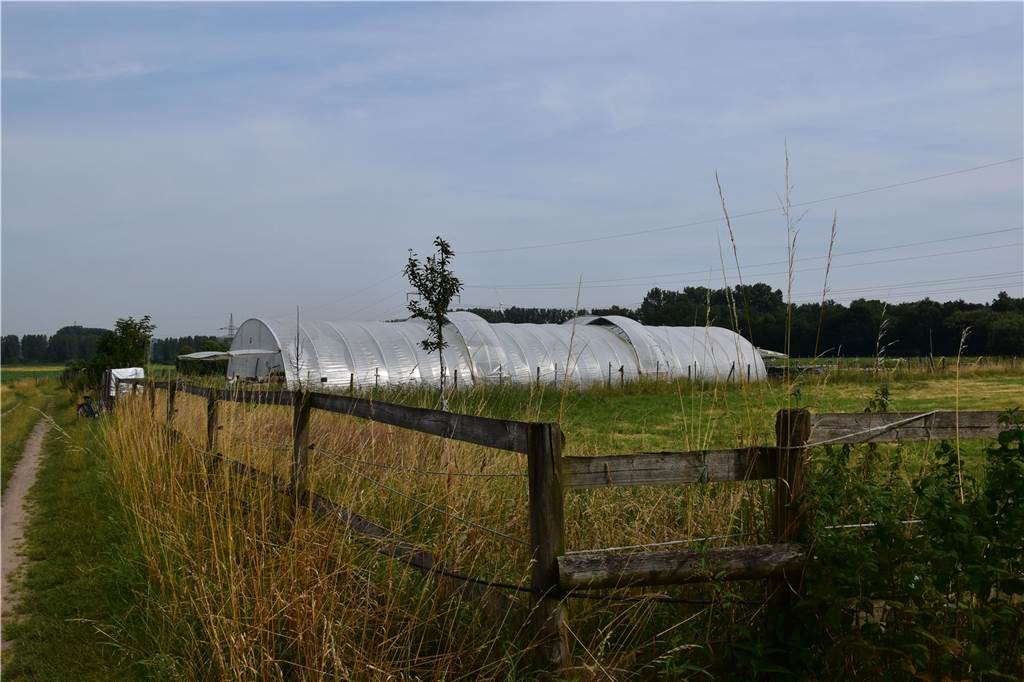 Eindrücke vom Gelände der solidarischen Landwirtschaft in Waltrop.