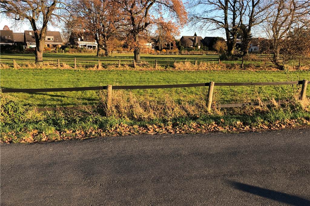 Buchhändler sieht Wolfsfamilie unweit einer Wohnsiedlung in Dorsten Zwischen Fährstraße und Wohnsiedlung (im Hintergrund) lief die Wolfsfamilie Ende Oktober über eine Weide auf der Hardt.