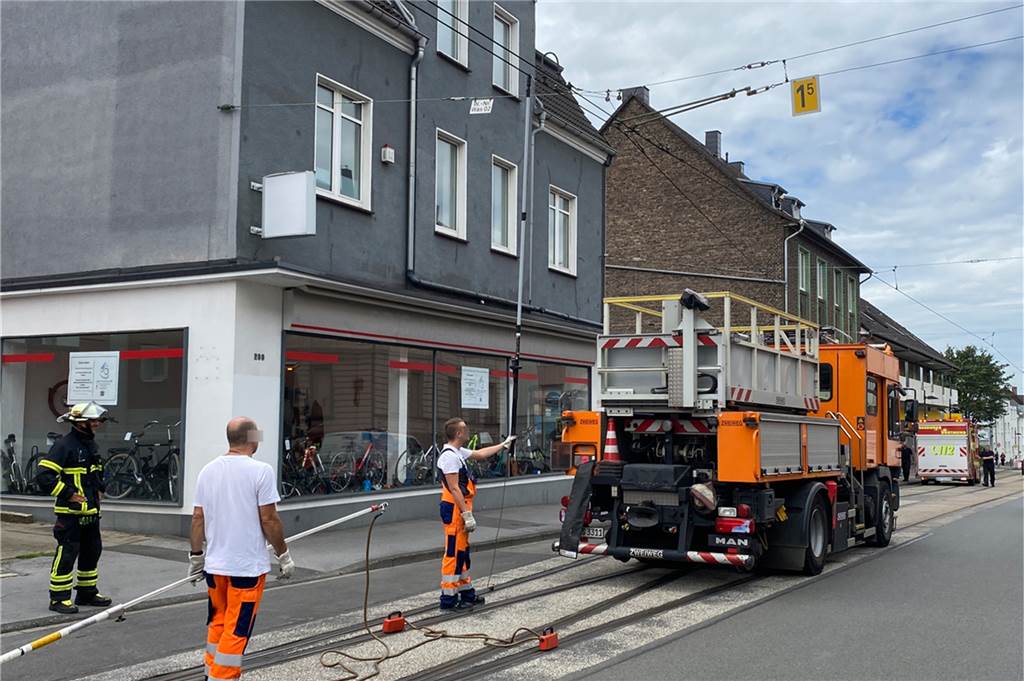 Katzenrettung mit Hindernissen: Feuerwehr brauchte Hilfe der Stadtwerke Zwischenzeitlich war auch der Gerätewagen „Tier“ der Feuerwehr vor Ort eingetroffen.